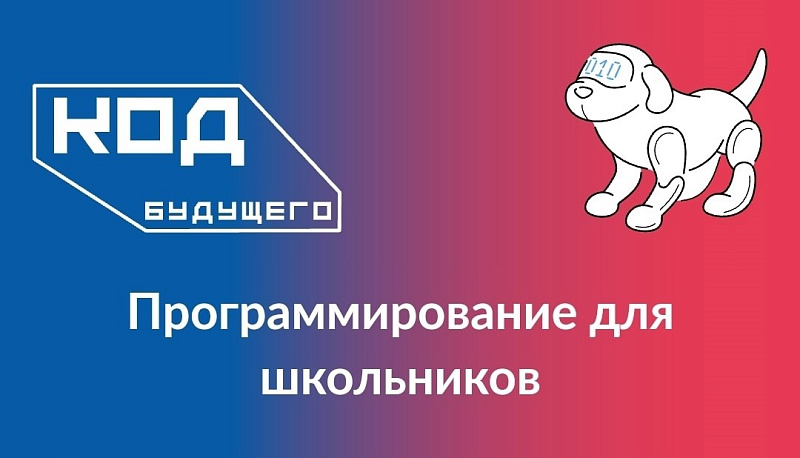 В рамках федерального проекта «Развитие кадрового потенциала ИТ-отрасли».